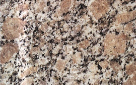 招遠(yuǎn)珍珠花