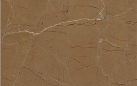 金世紀(jì)米黃